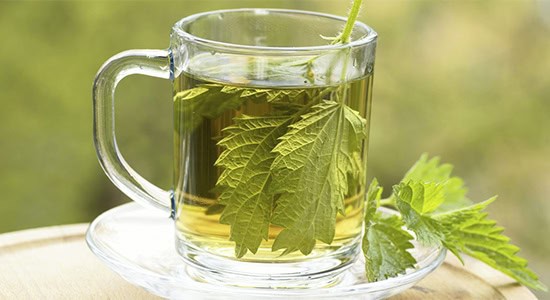 Nettle Tea and gout, Dr. Bob Baravarian