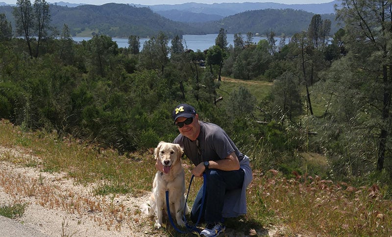 Dogwalking and Overuse Injuries During Covd-19
