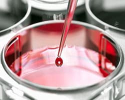Stem-Cell-Treatment