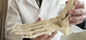 skelton-of-foot